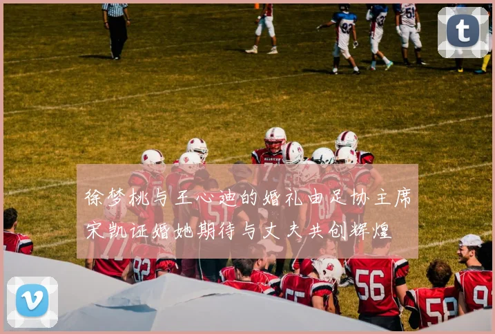 徐梦桃与王心迪的婚礼由足协主席宋凯证婚她期待与丈夫共创辉煌