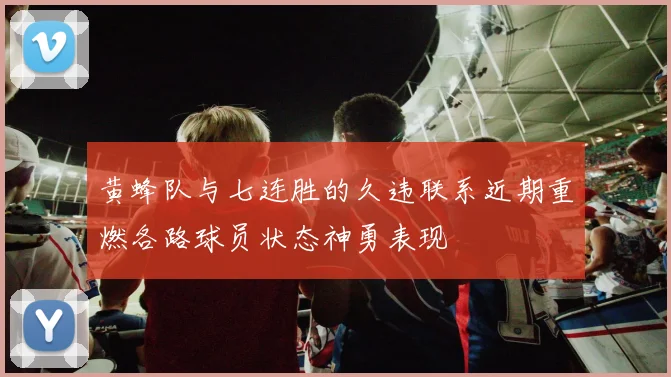 黄蜂队与七连胜的久违联系近期重燃各路球员状态神勇表现