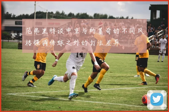 范弗里特谈申京与约基奇的不同风格强调传球之外的打法差异